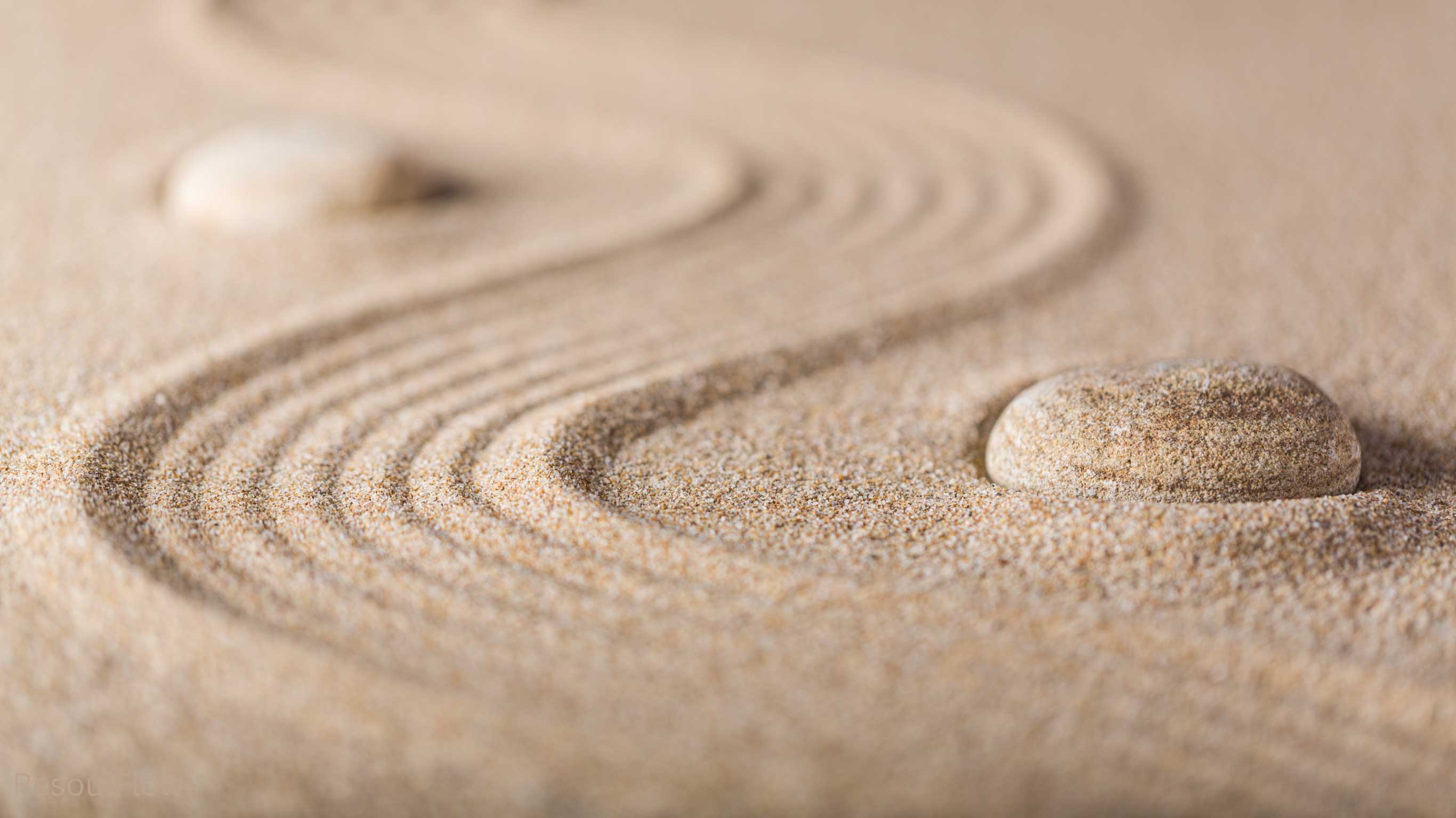 Meditation and wellness